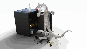 押し込み強盗対策は一人暮らしにどう役立つ？