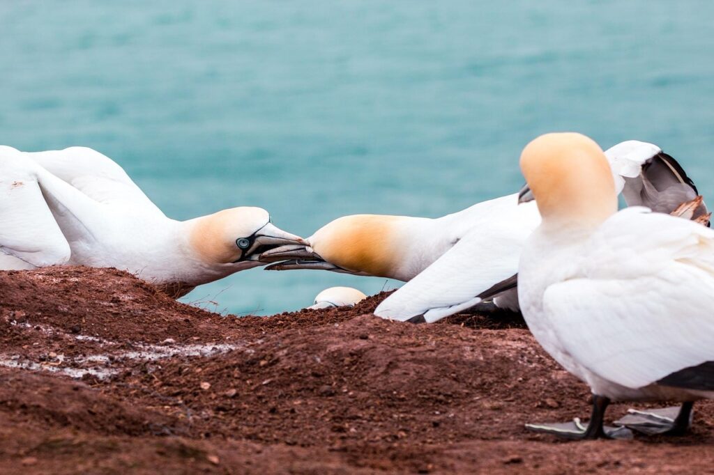 隣人トラブルを防犯するための一人暮らしの対策は？