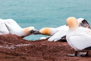 隣人トラブルを防犯するための一人暮らしの対策は？
