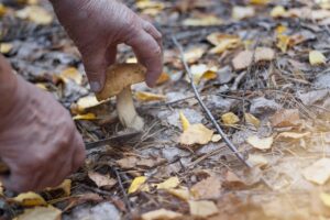 一人暮らしのためのピッキング対策は何が効果的？