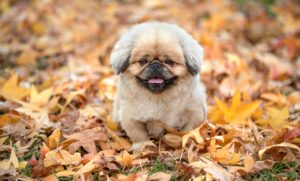 一人暮らしの留守中におすすめの対策は？