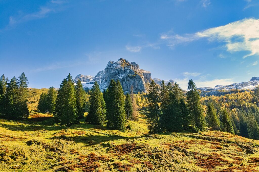 一人暮らしの防犯対策としての表札に名前を入れるべき理由は？