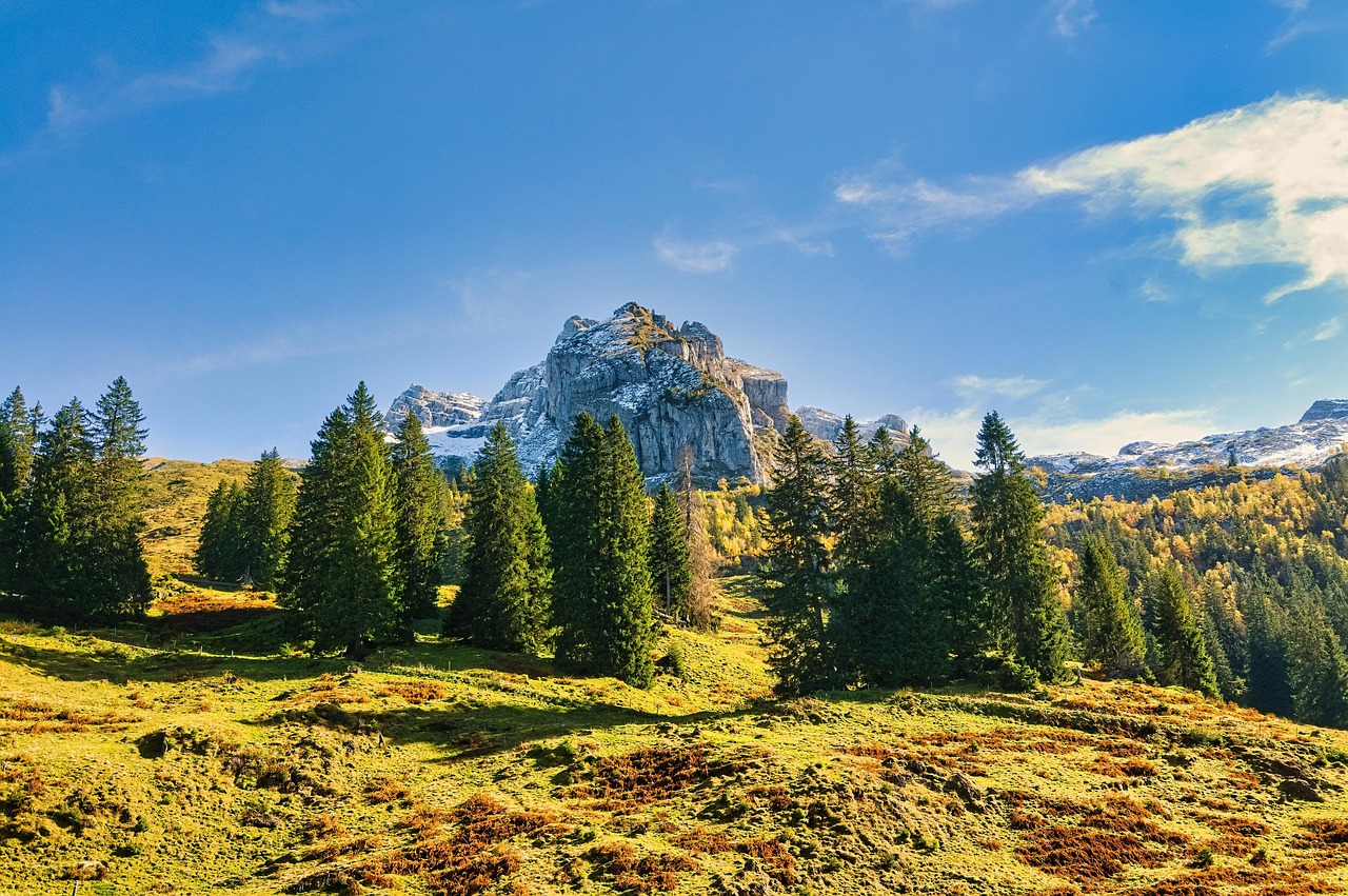 一人暮らしの防犯対策としての表札に名前を入れるべき理由は？