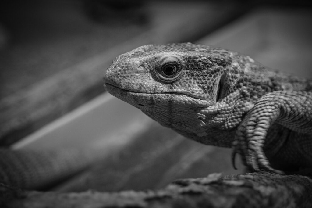 盗聴器発見に役立つおすすめグッズは？