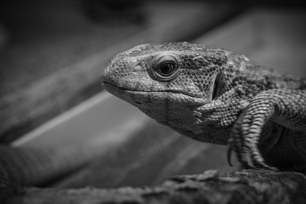 盗聴器発見に役立つおすすめグッズは？