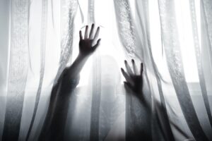 一人暮らしの女性におすすめの窓用透けるカーテンは？