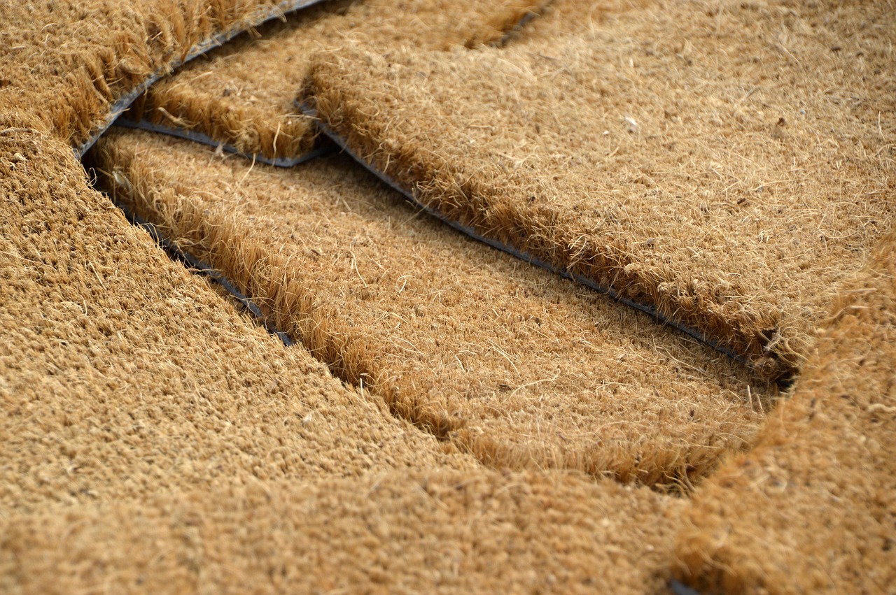 女性の一人暮らしに玄関マットは防犯に役立つか？