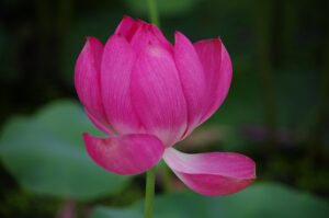 女性の一人暮らしの引っ越し初日に気をつける防犯対策は？