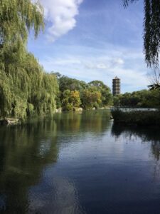 名前の表札を出さないデメリットとは郵便にどのように影響するのか？