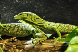 モニター付きインターホンを賃貸物件に後付けする方法は？