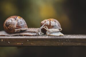 玄関に設置するフットライトは人感センサー付きで防犯効果があるの？