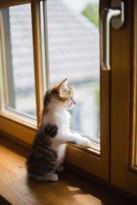 窓の防犯グッズは優先順位で何が必要なのか？