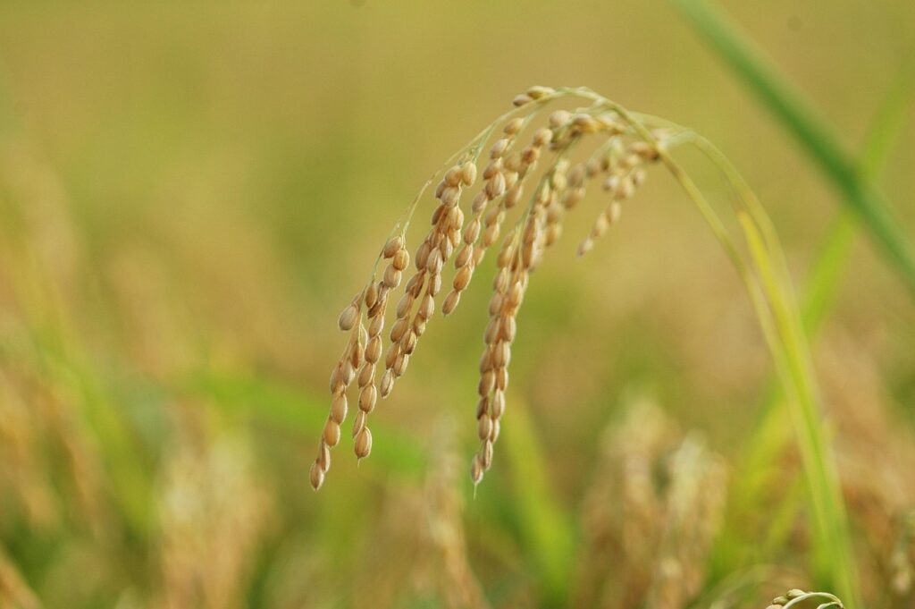 賃貸でもできる窓面格子の後付け方法は？