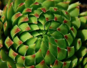 賃貸物件の内見で死角が多い場合、どう見抜くべき？